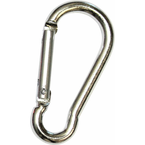 Carabiner key ring